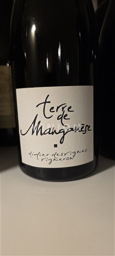 Beaujolais Morgon Didier desvignes Terre de Manganèse Jo Viti
