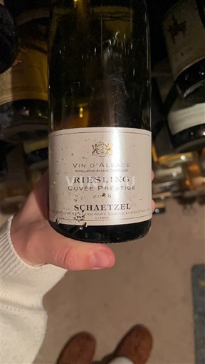 Alsace Schaetzel Prestige 2018