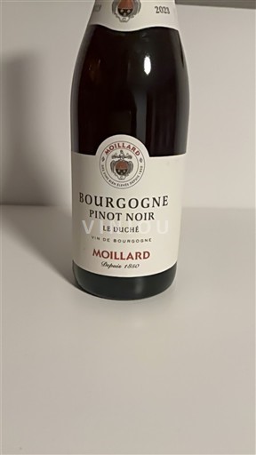 Borgogna Moillard Le Duché 2023