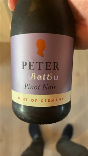Baden Peter Bott Non Millésimé