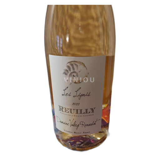 Loiretal Reuilly Domaine Valéry Renaudat Les Lignis 2023