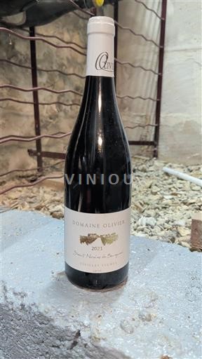 Vine Rouge sec Saint Nicolas de Bourgueil Domaine Olivier 2021 Frankrig Bourgogne Santenay AOC