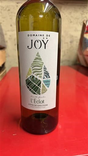 Sud-Ouest Côtes de Gascogne Domaine Joy L'Eclat 2022