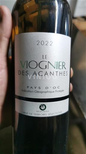 Languedoc e Roussillon Pays d'oc Vins de Terroirs Sélections Le Viognier des Acanthe 2022