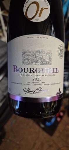 Dolina Loare Bourgueil Chapelle St Florent 2023