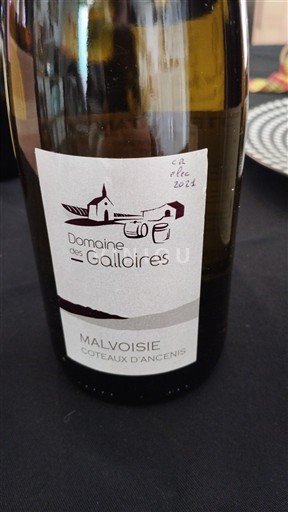 Valle della Loira Coteaux-d'Ancenis Domaine S Galloires Malvoisie 2021
