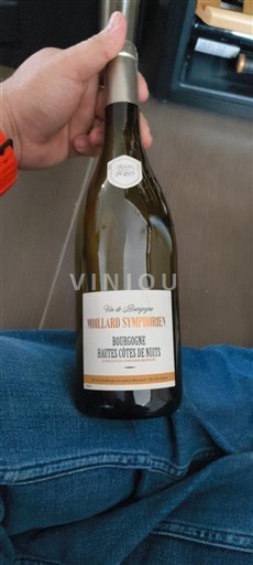 Viinit Blanc sec Moullard Symphorien 2020 Ranska Burgundi Määrittelemätön AOC