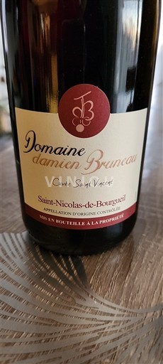 Vina Rouge sec Cuvée Saint Vincent Domaine Damien Bruneau 2023 Francija Dolina Loare Saint-Nicolas-De-Bourgueil AOC