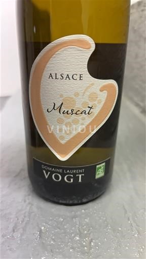 Alsazia Non specificato Domaine Laurent Vogt 2023
