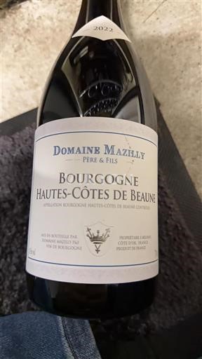 Bourgogne Premier Cru Domaine Mazilly Père & Fils 2022
