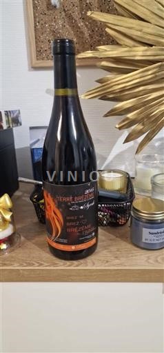 Dolina Loare Pierre Brevin Brazey Brûlezen 2015