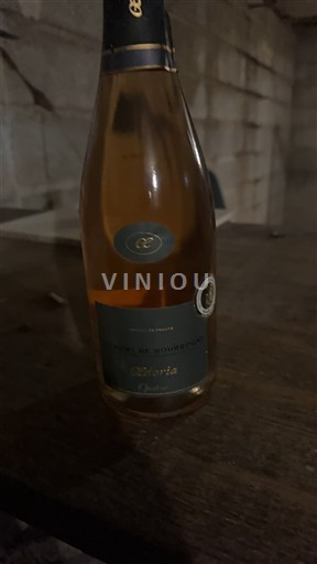 Loirevallei Niet gespecificeerd Cave de Saumur Gloria Niet-geïntegreerd