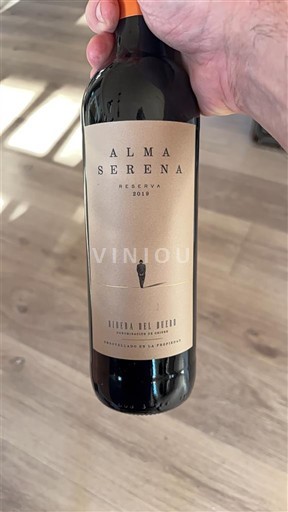 Castile and León Ribera del Duero Alma Serena Reserva 2019
