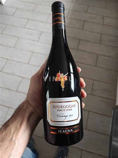 Bourgondië Bourgogne Icauna 2021