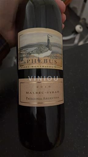 Patagonia Unspecified Phebus (Pierre Montrovout Vins) Malbec-Syrah 2019