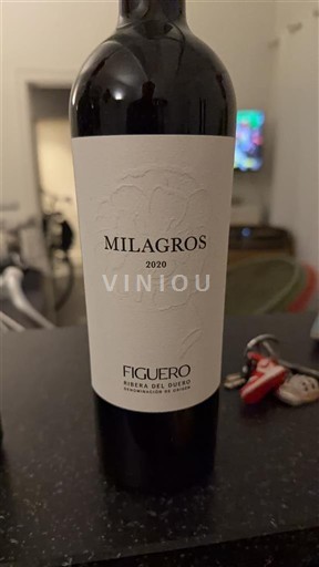 Castilien og León Ribera del Duero Figuero Milagros 2020