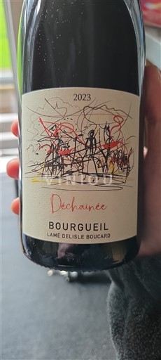 Thung lũng sông Loire Bourgueil Lamé Delisle Boucard Déchaunée 2023