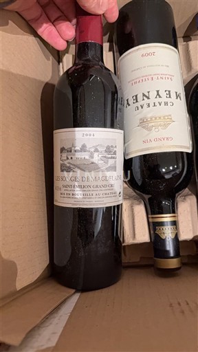 Bordeaux Saint-Émilion Grand Cru Grand Cru Les Songes de Magdelaine 2004