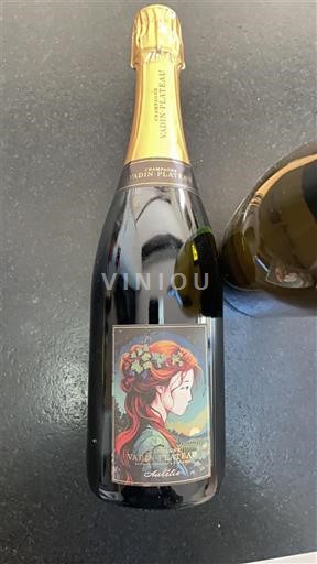 Champagne Vadin-Plateau Insolite Ikke årgangsbestemt