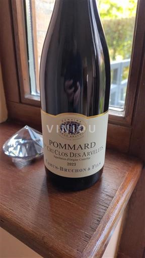 Bourgondië Pommard Premier Cru Domaine Camus-Bruchon & Fils 1er Cru Clos des Arvelets 2023