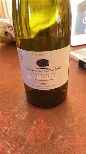 Vallée de la Loire Quincy Domaine Les Chèzes Vert 2022