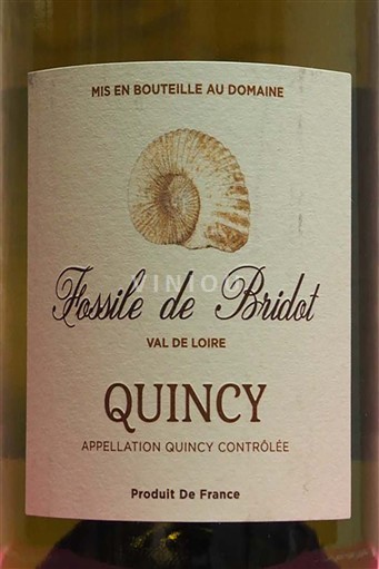 Loirevallei Quincy Quincy Fossile de Bridot Niet-geïntegreerd