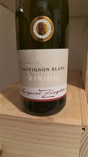 Palatinat Pfalška August Ziegler 2024