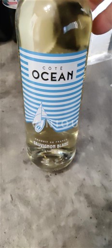 Aquitania e Charente Atlantico Côte Océan Sauvignon Blanc Senza annata