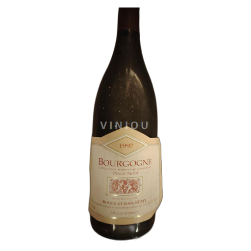 Bourgogne Roger et Joël Remy Pinot Noir 1997