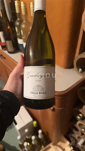 Palatinat Pfalška Villa Wolf Grauburgunder 2023