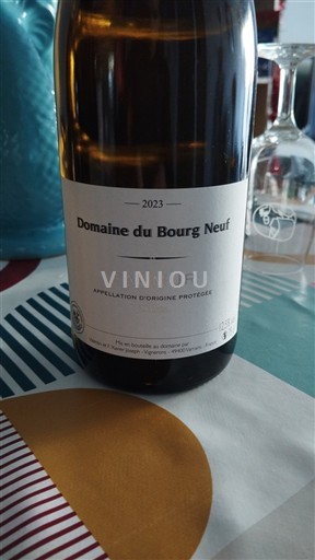 Vine Rouge sec Domaine Bourg Neuf 2023 Frankrig Loire-dalen Saumur AOC