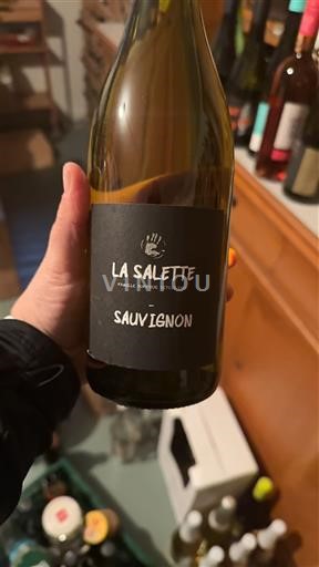 Sudoeste Côtes de Gascogne La Salette Sauvignon 2020