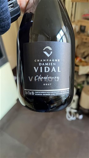 Šampanja Šampanjec Champagne Damien Vidal Chardonnay Brut Neleten.