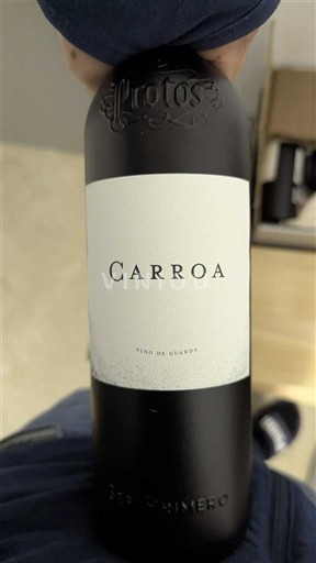 Castilien og León Ribera del Duero Protos Carroa 2021