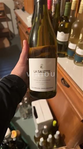 Jura Côtes du Jura Domaine Bernard Gros Maire La Salette 2019