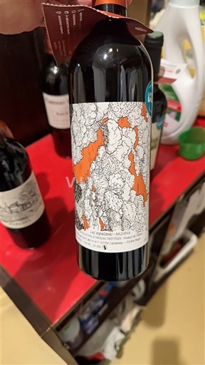 Sudoeste Madiran Les espaliers 2021