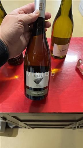 Roussillon Côtes du Roussillon SCV Terres Plurielles Silex 2020