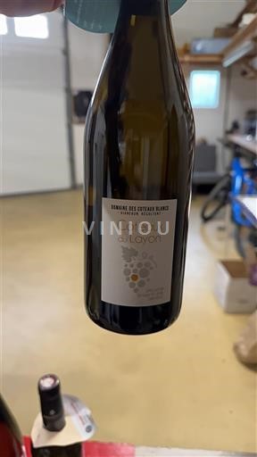 Valle della Loira Coteaux-du-Layon Domaine S Coteaux Blancs Senza annata