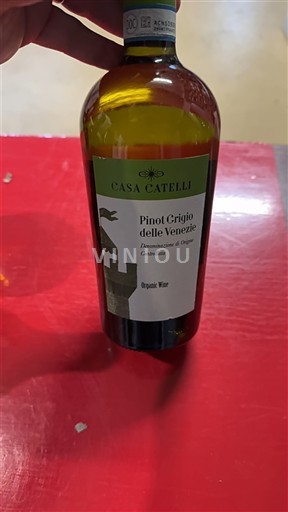 Vénétie Delle Venezie Casa Catelli 2021