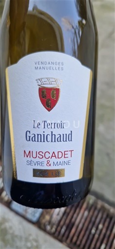 Lugina e Luarës Muscadet-sèvre-et-maine Le Terroir Ganichaud Jo Viti