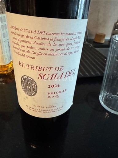 Catalonia Priorat Scala Dei El Tribut de Scala Dei 2024
