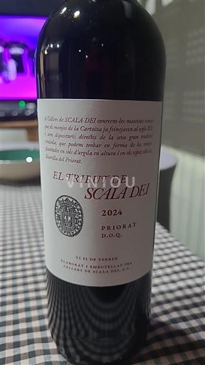 Katalonja Priorat Scala Dei El Tribut de Scala Dei 2024