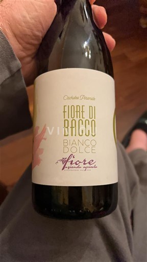 Apulia Puglia Cicciolella Primarosa Fiore di Bacco 2024