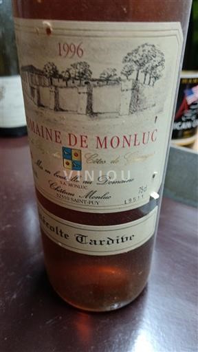 Sudoeste Côtes de Gascogne Domaine Monluc 1996