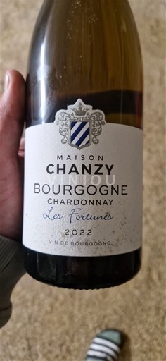 Bourgogne Bourgogne Chardonnay Maison Chanzy Les Fortunés 2022