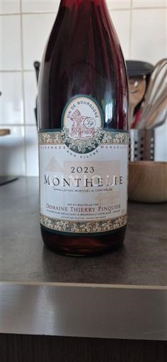 Weine Rouge sec Domaine Thierry Pinquie 2023 Frankreich Burgund Monthélie AOC