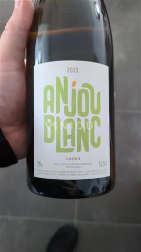Vale do Loire Anjou Famille Payen Anjou Blanc 2023