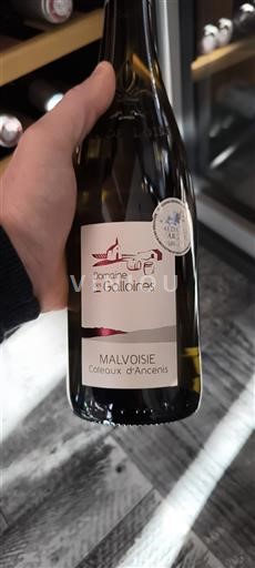 Valle della Loira Coteaux-d'Ancenis Domaine S Galloïres Malvoisie 2022