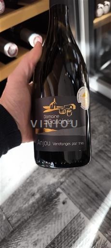 Wines Rouge sec Vendanges par tries Domaine S Galloires 2022 France Loire Valley Anjou AOC