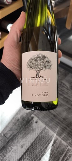 Alsace Domaine Rémy Lutz 2023